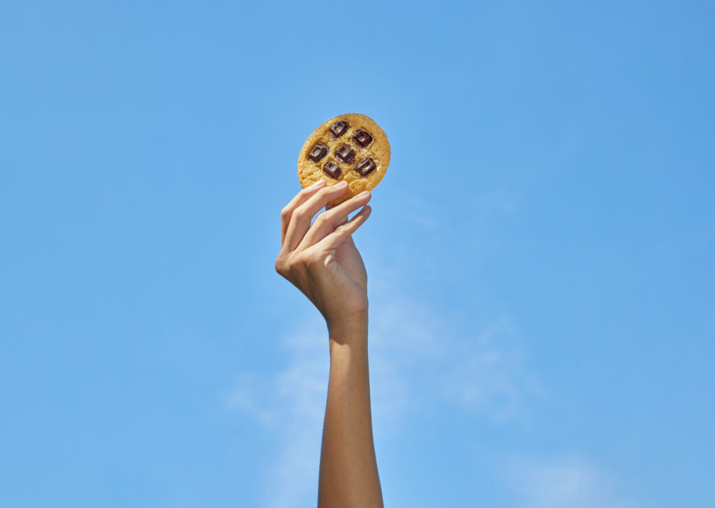 Image of hand holding chocolate chunk cookie against a blue sky